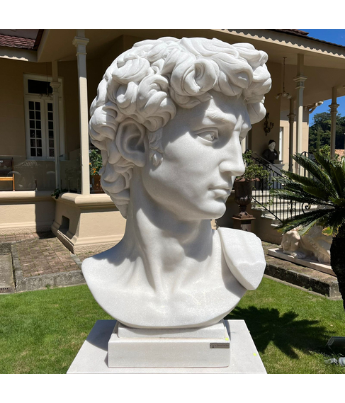 imagem de Escultura Cabea do Davi 120cm - EMP555